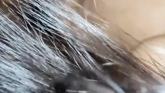 Karı koca her gece programı.  Full HD