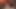 ベラスビナはオイルを塗った