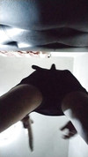 Pregled videozapisa