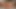 Allie Eve Knox Rubs Her Bald Pussy