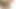 Kimber Kay porn video – Hot busty babe Kimber Kay in her bathtub sucks big balls