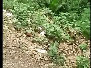 Jebacina na Avali Serbian-Srpski By KRMANJONAC