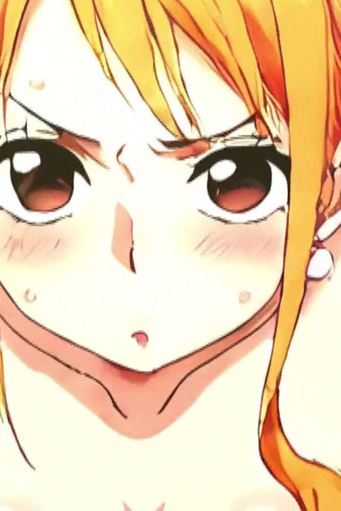 One Piece Nami(6) Hen