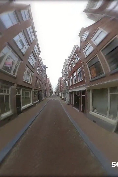 Interracial! Dutch youtuber railed slut! Sexybuurvrouw