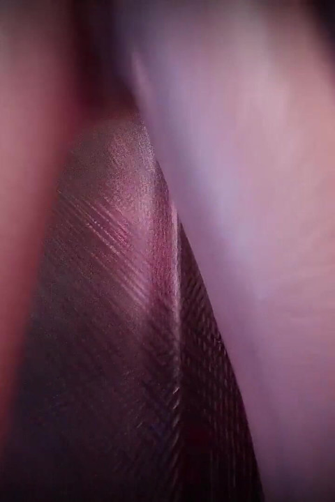 B046 [ntr] the Man Sealed in Bed by His Wife Moreover, the Wife Brought Her Lover Into the House and Cheated on Her Husband.