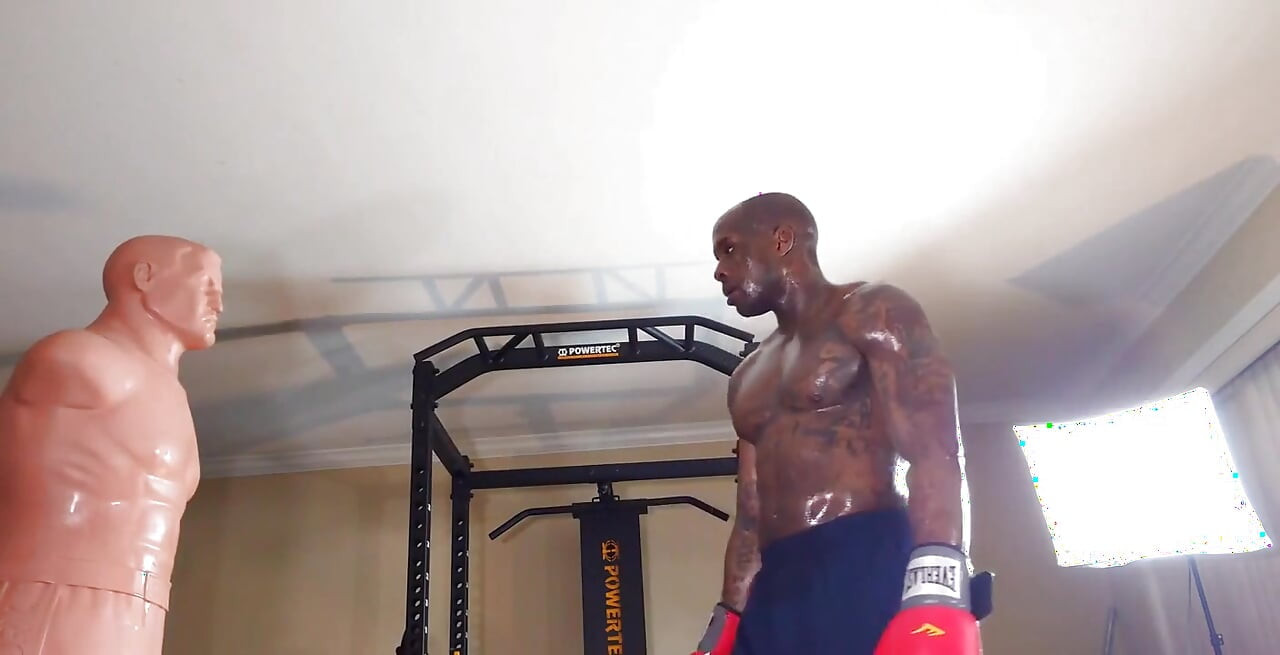 Boxing Workout the Core Is Defined by the Structures That Make up the Lumbo-pelvic-hip Complex (lphc) and Includes the Global an