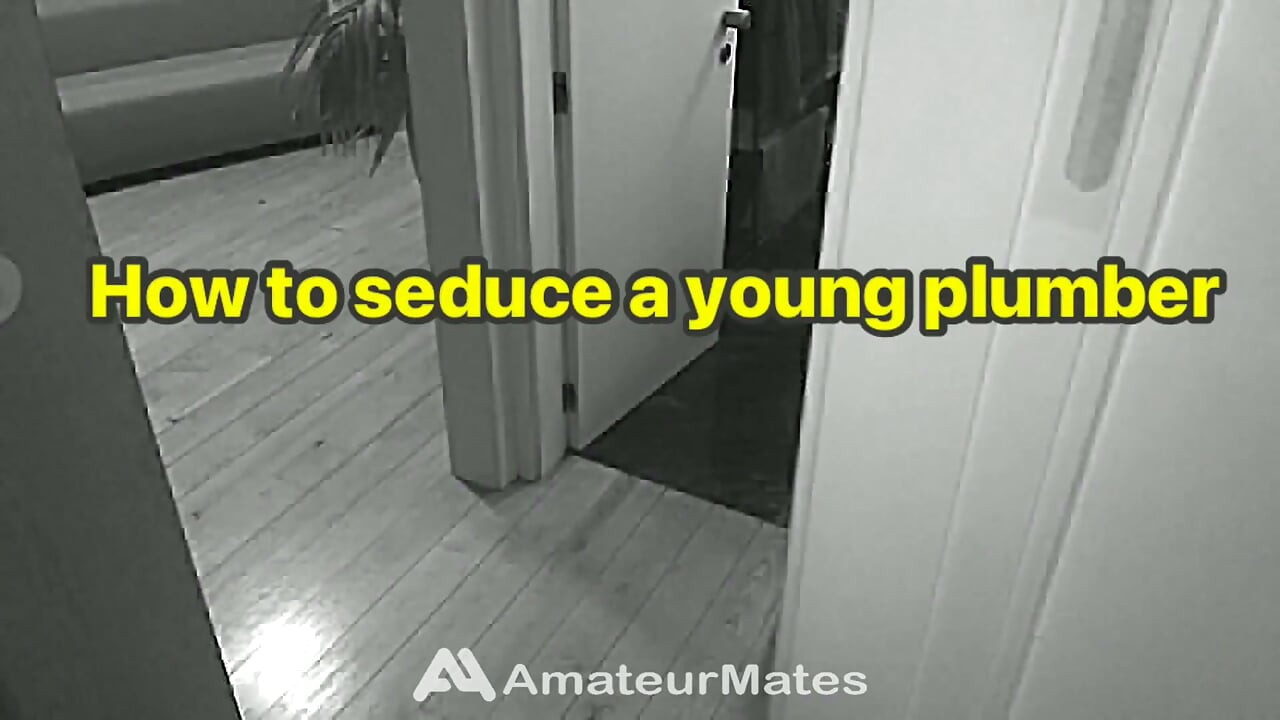 How to Seduce a Young Plumber