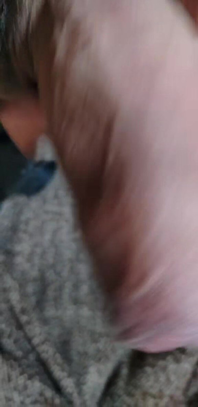 Mi verga, Sinaloa México