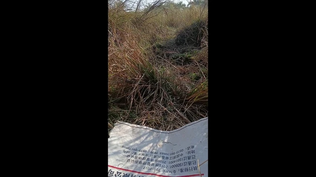 Indian Village Outdoor Highway Road side sex 2023