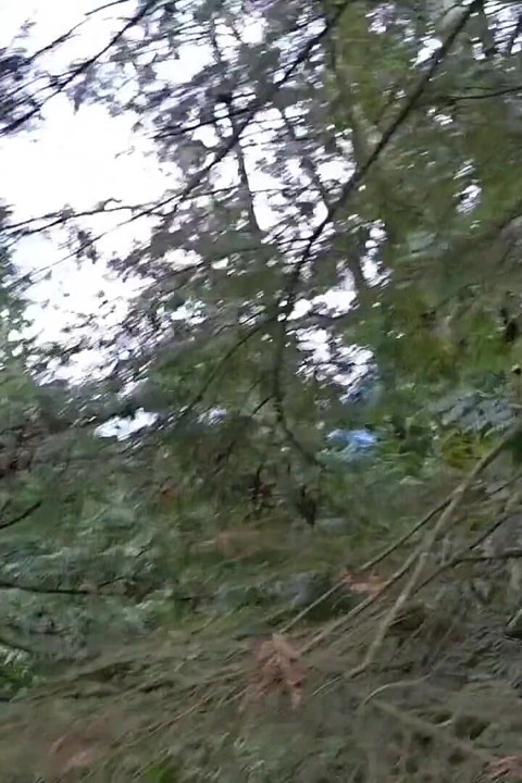 Indoor Pee, Outdoor Pee