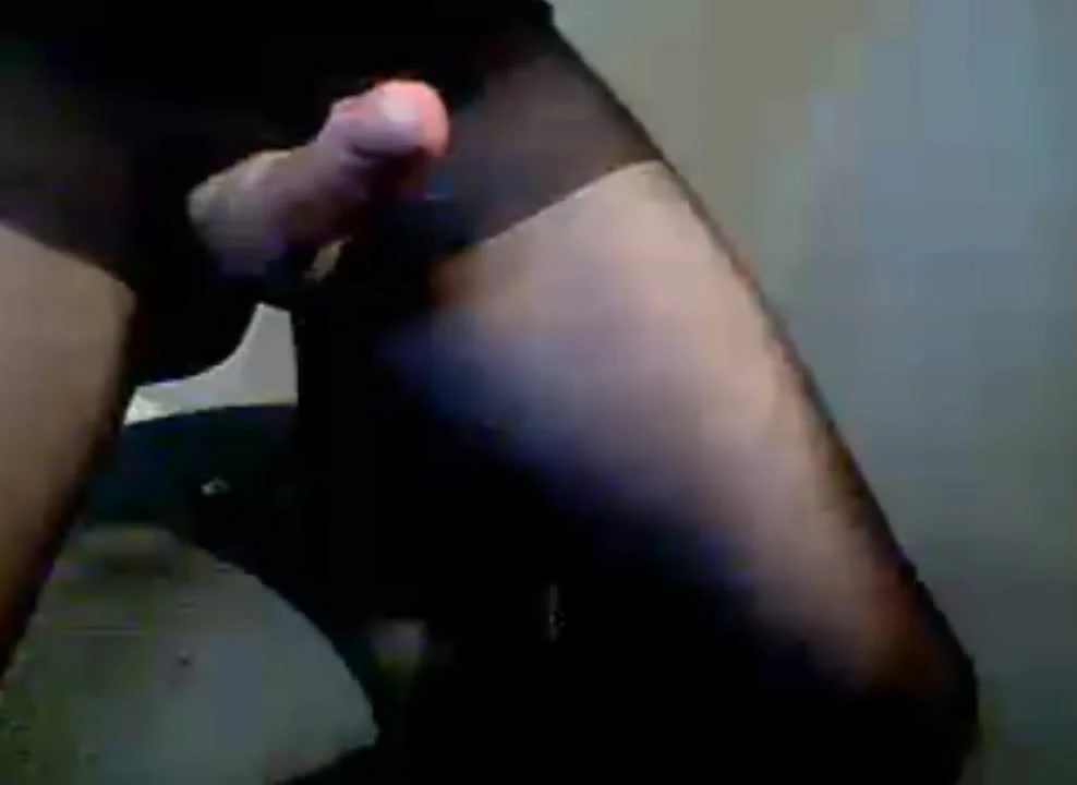 Transsexual, pau duro, porra