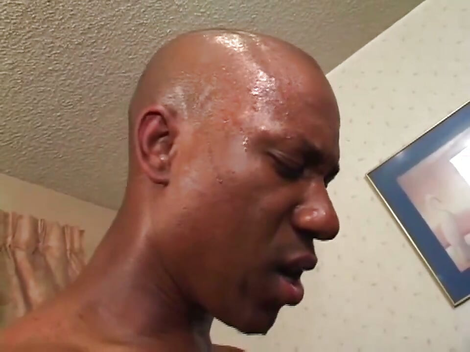 The elegant black pussy on the big black dick