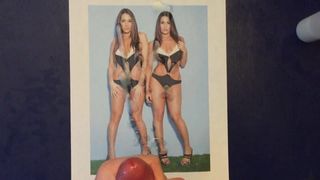 Tribute For The Bella Twins