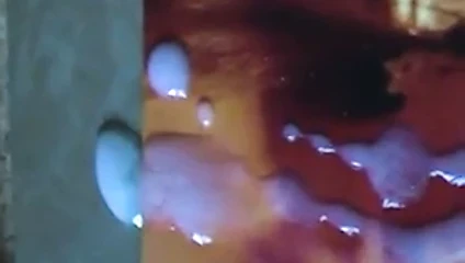 Cum on Ksenya 2