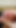 Seeing the bare ass of a transsexual neighbor, I could not help but play pranks with my fat snake #2