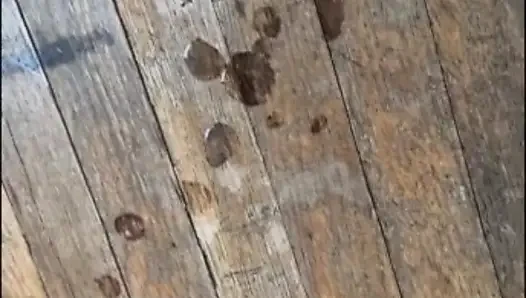 OhTrevor azgın boğasını boynuzundan alıyor