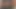Joeyrose videosu