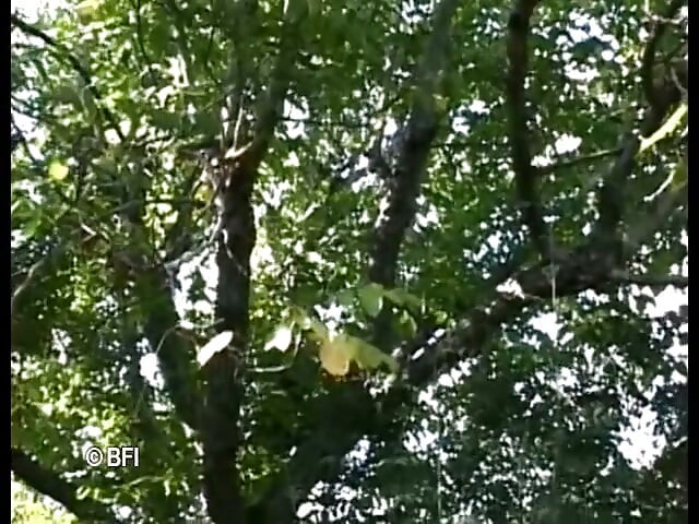 seksi aur kaamuk athaarah varshiy kutiya ko uski maalish karne vaale se jordaar chudaee milti hai