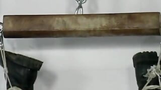 Pissing Experience