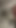 My dick