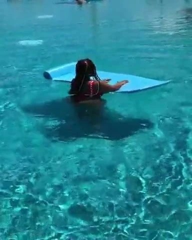 black Bitch
