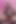 Latex, Lush, Dildo, Cumshot