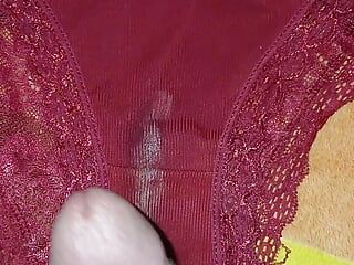 I masturbate with my rich sister-in-law's panties