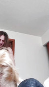 Pregled videozapisa