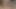Indian Village  Desi Step Sister Seduces Me - Wet Blowjob Fantasy