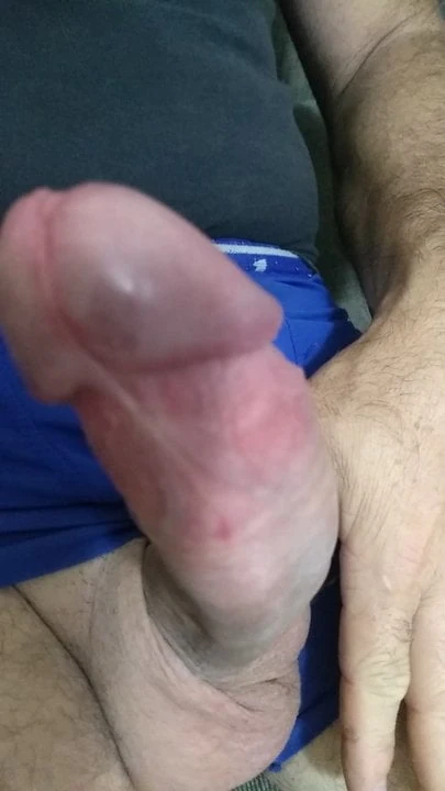 Meu pau