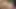 Your Salu Bhabhi Fucking Viral video