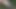 My Cock in the Forest