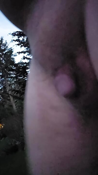 Twilight Outdoors