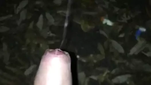 Halka açık boşalma