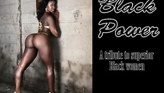 A tribute to superior black girls compilation