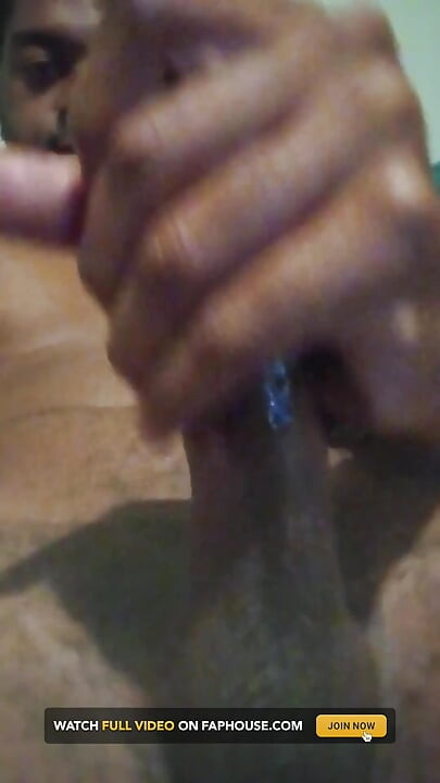 Big Brown Coco