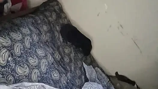 O benim kaltağım dört ayak üzerinde