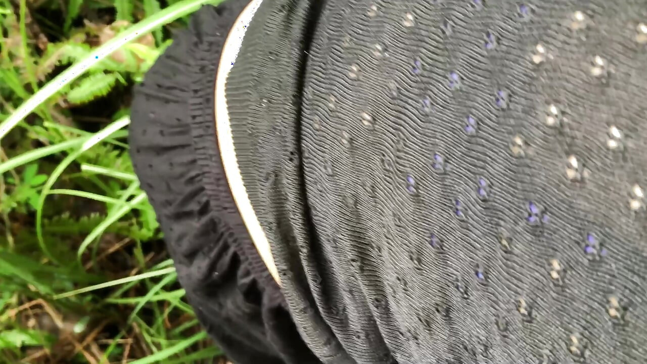 Jungle adventures