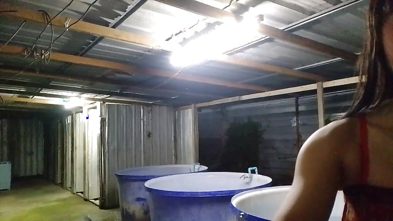 Please Help Me Rub My Back.