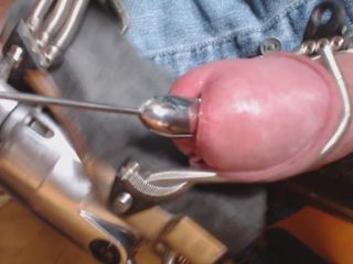 Sonido de capullo de rosa (grado 12) con corridas en mi uretra