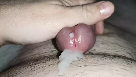 Sperma