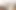 Di Devi Interracial Cum Swallowing Face Fucking Blowjob