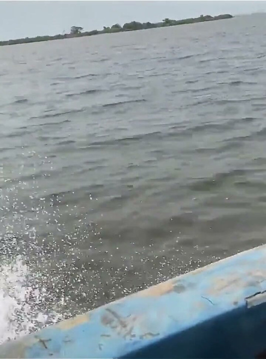 Un viaje por el mar