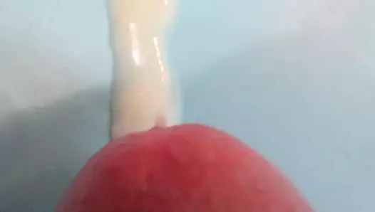 Sperma