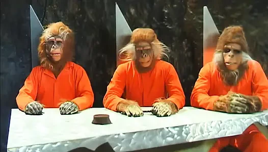 Prisoner of Your Velvety Ass