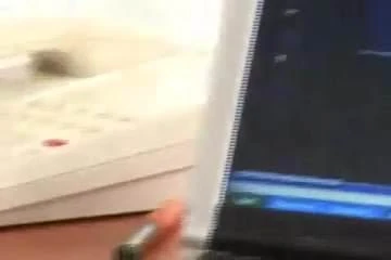 Haciendo Aseo