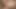 Mom.xxx - frizzy behaarte MILf liebt es, blowjobs zu geben, und will mehr seltsames