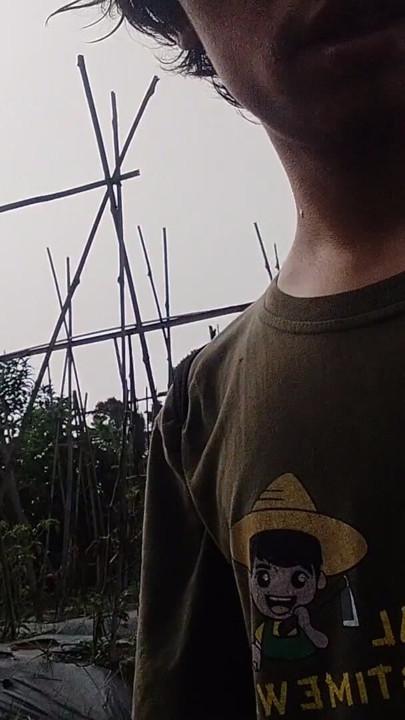 A young man's journey to the rice field where he is urinating again | Clip 1
