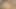 An Indian girl watches me masturbating, she gets very horny and starts masturbating, then she asks me to fuck her hard.