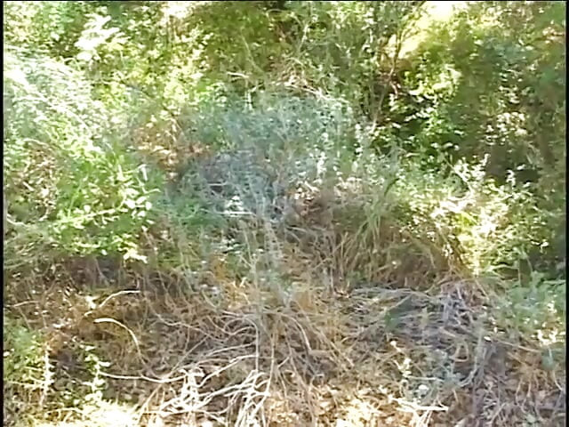 粗獷的變種人勾引山洞裡的美女